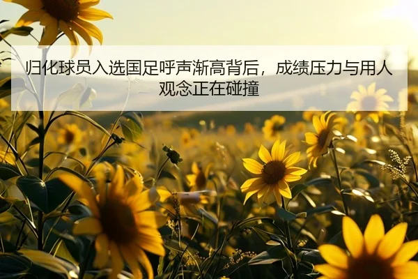 归化球员入选国足呼声渐高背后，成绩压力与用人观念正在碰撞
